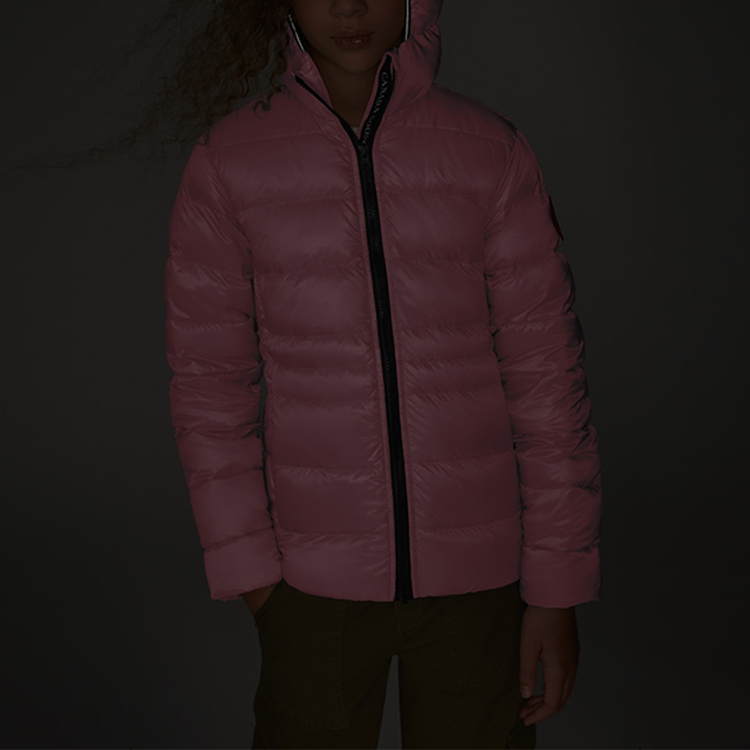 Photo 19043618