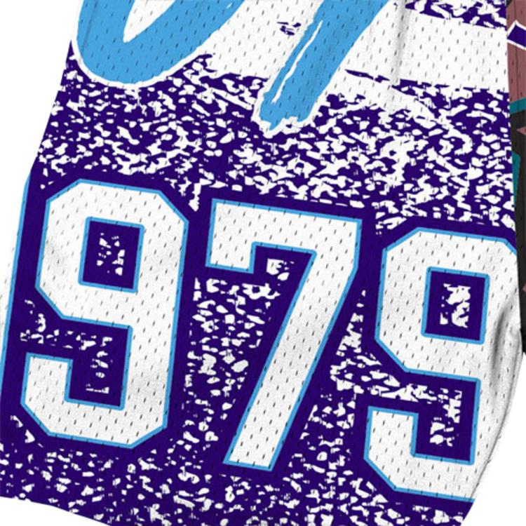 Mitchell Ness Basketball Shorts Unisex Purple