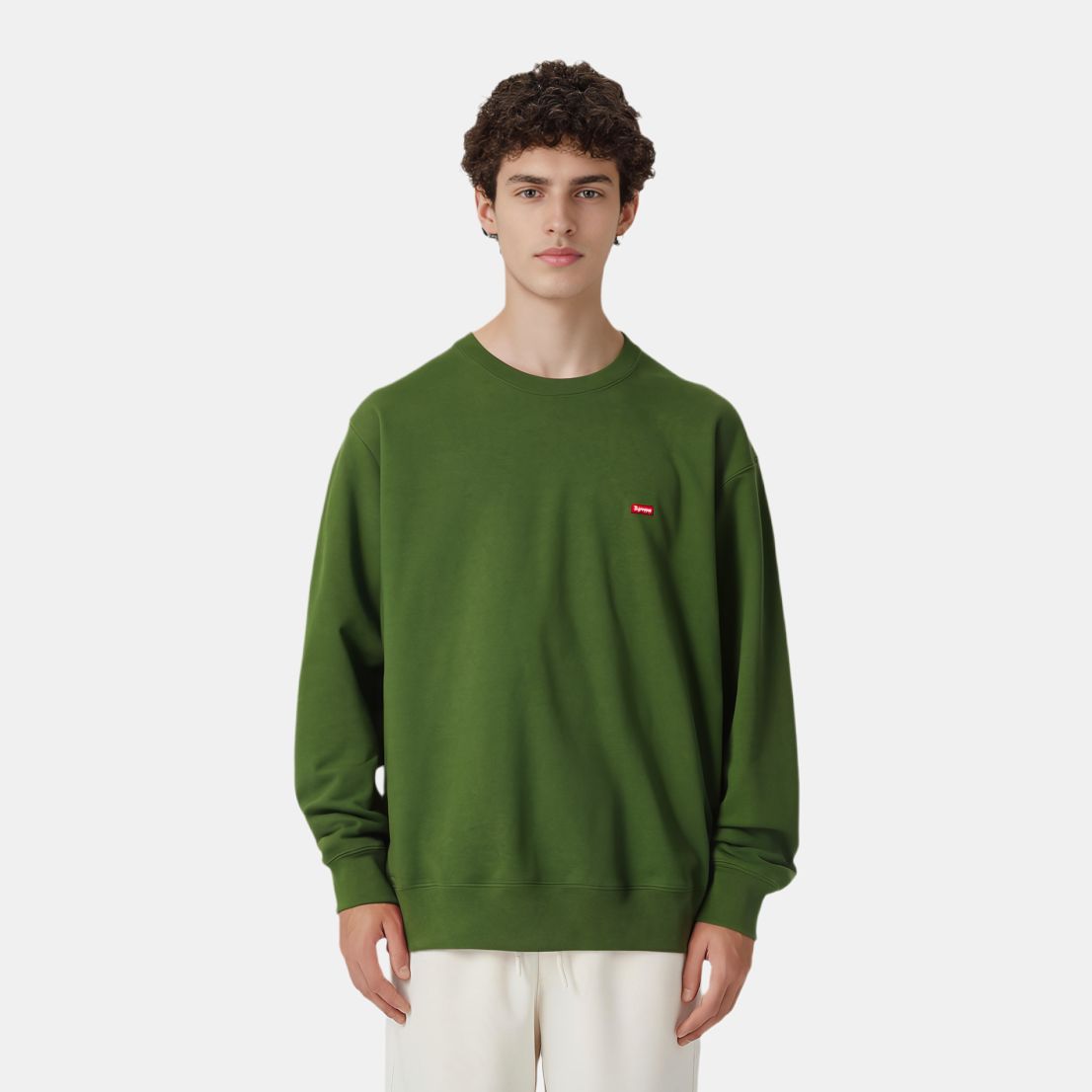 Худи Supreme FW20 Small Box Logo (разноцветный) — фото 14