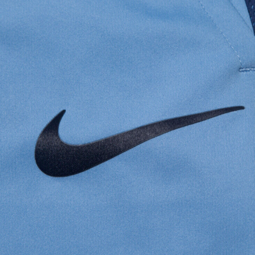 Мужские шорты Nike спортивные (синие) — фото 6