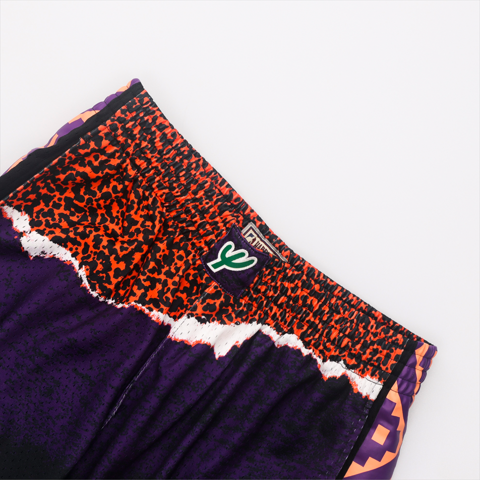 Mitchell Ness Basketball Shorts Men’s Purple
