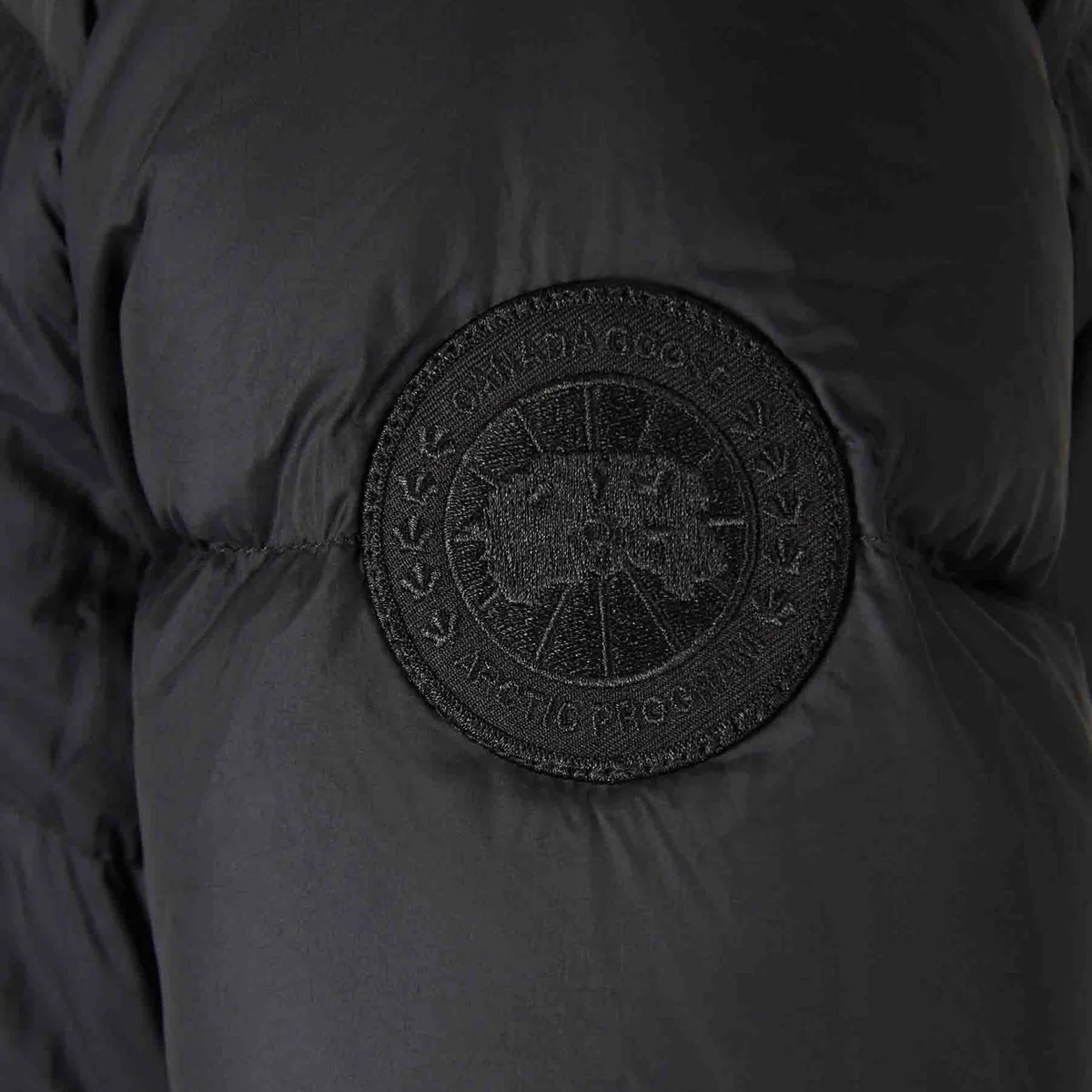 Женская куртка Canada Goose Montgomery (черная) — фото 3
