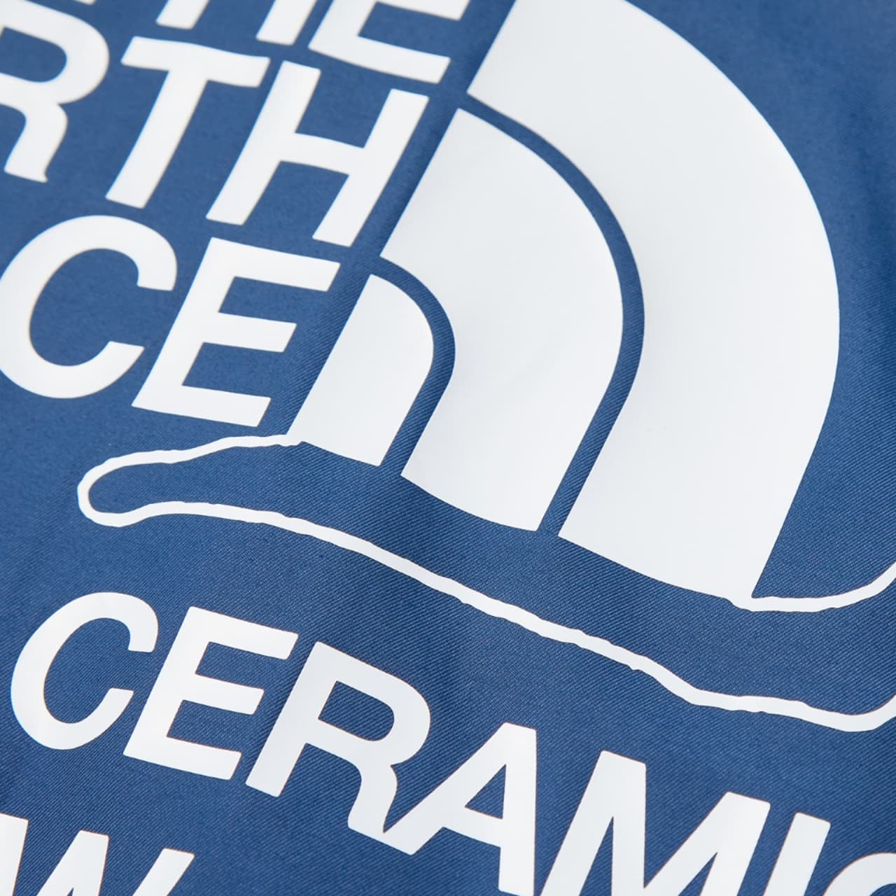 Куртка The North Face x Online Ceramics SS23 (синяя) — фото 4