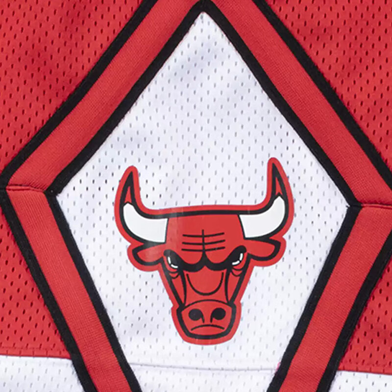 Mitchell & Ness Authentic Shorts Chicago Bulls