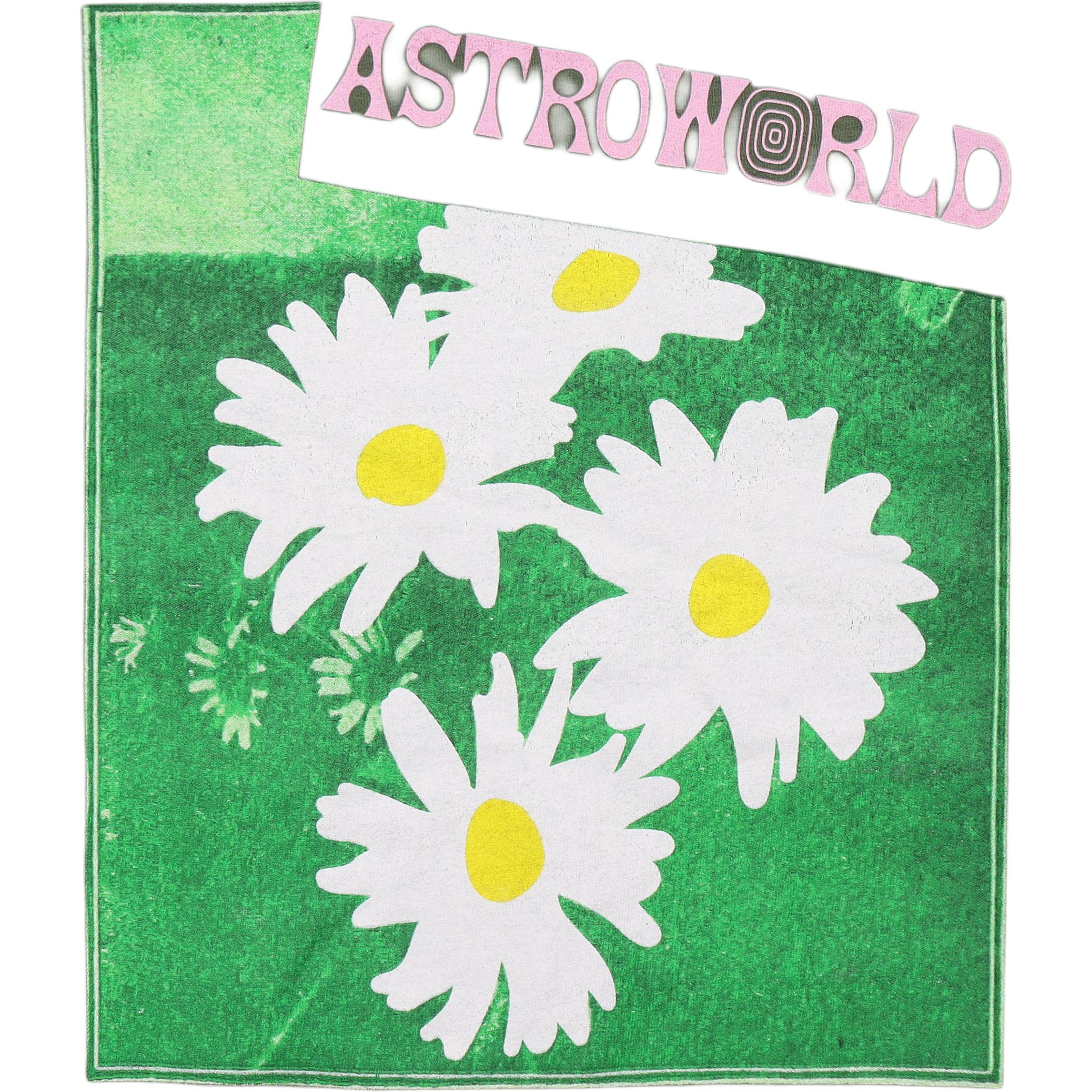 Футболка Travis Scott Cactus Jack Astroworld (зеленая) — фото 6