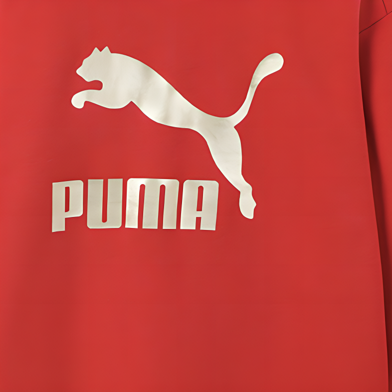 Детское худи PUMA SportstyleCLASSICS BIG LOGO CREW FL (красный) — фото 2