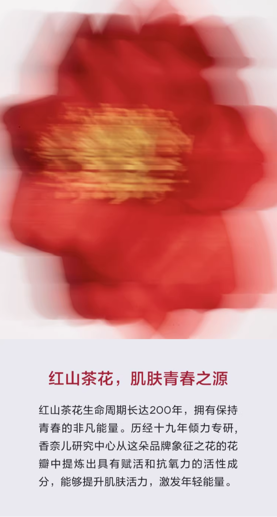 【香港直邮】 法国 香奈儿 N°1 红山茶花面霜滋润版50g 淡纹紧致保湿抗皱