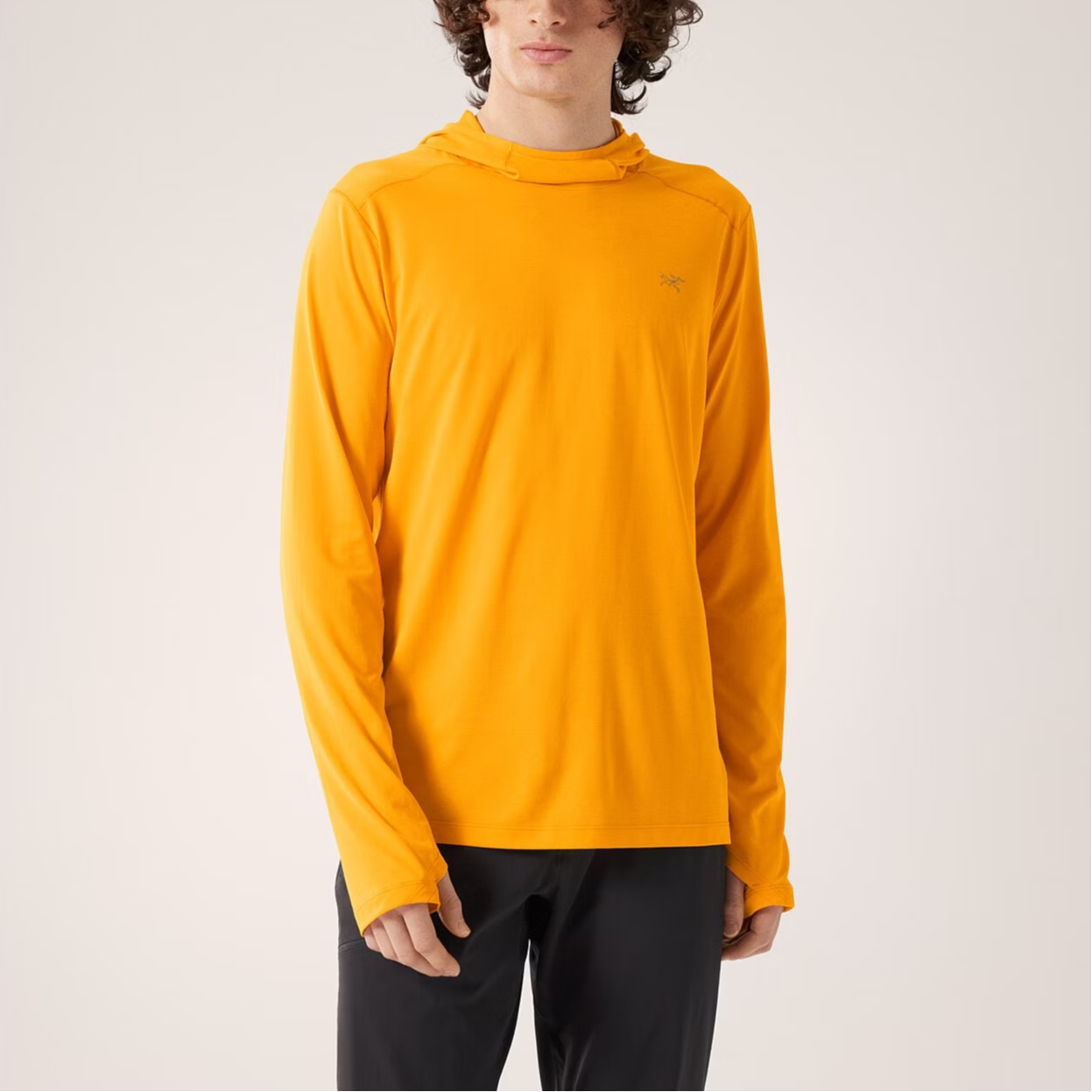 Arc’teryx CORMAC HOODY Quick Dry T Shirts Men’s