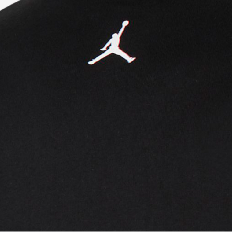 Мужская футболка Jordan Upsize China LogoT (черная) — фото 4