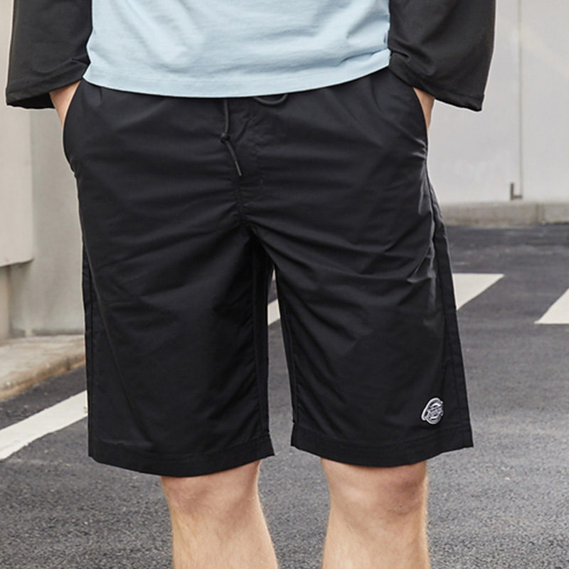 Мужские шорты Dickies SS21 (черные) — фото 2