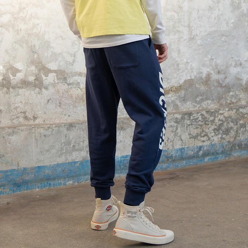 Штаны Dickies SS21 Logo (темно-синие) — фото 4