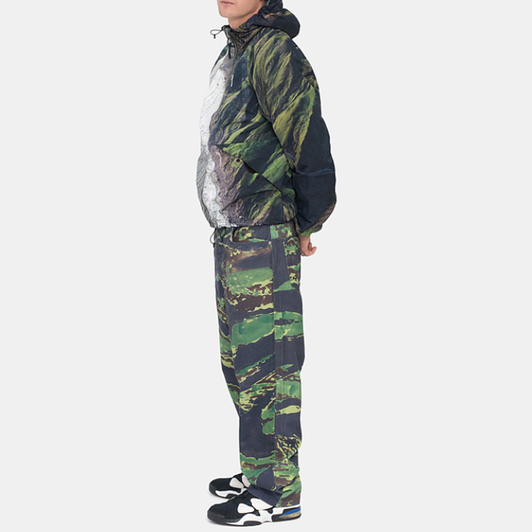 Photo 22263209