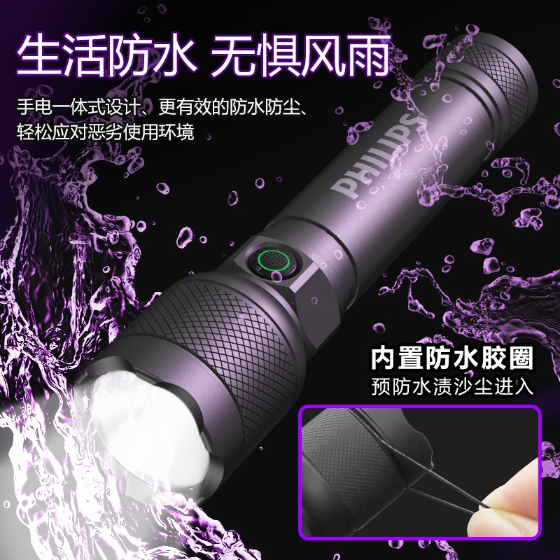 PHILIPS Outdoor Lightings Flashlight Hiking