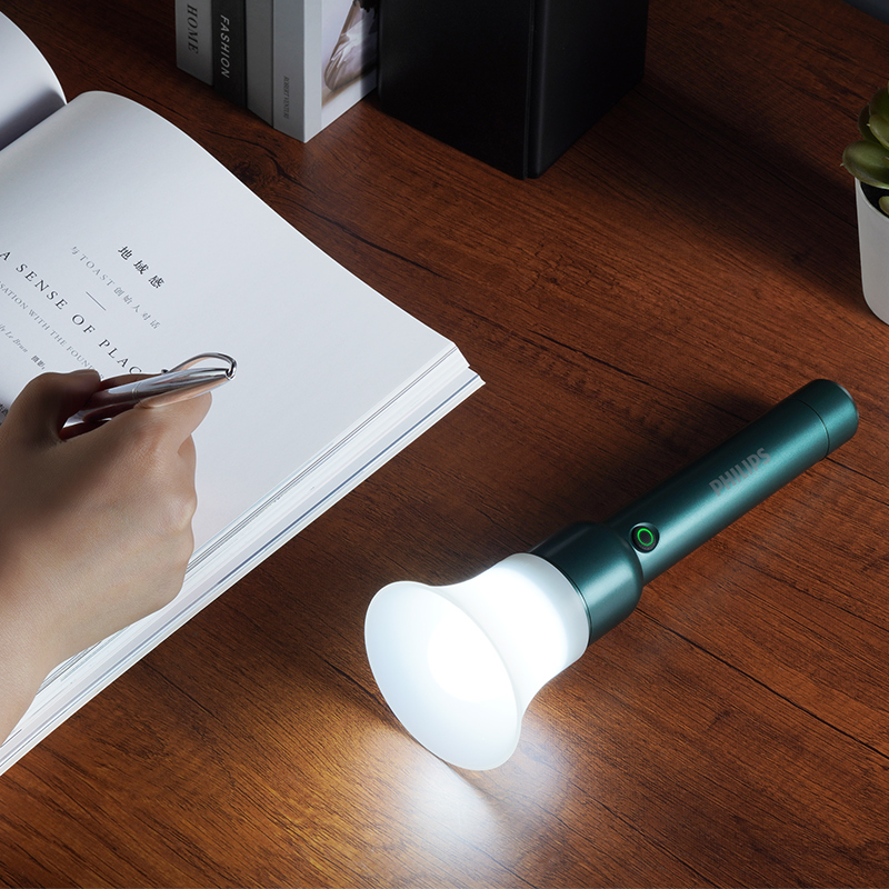 PHILIPS Outdoor Lightings Everyday