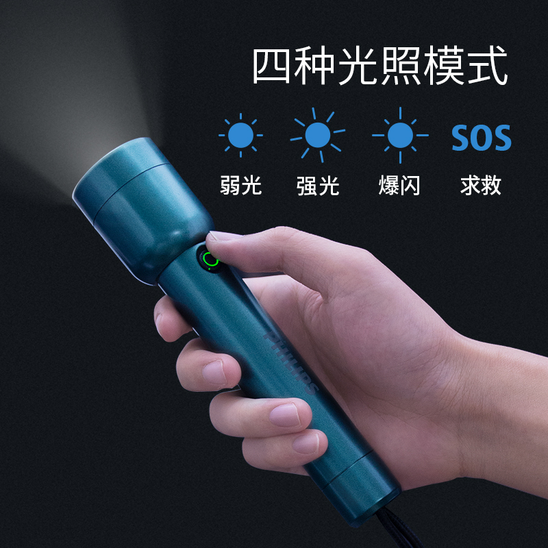PHILIPS Outdoor Lightings Flashlight Hiking