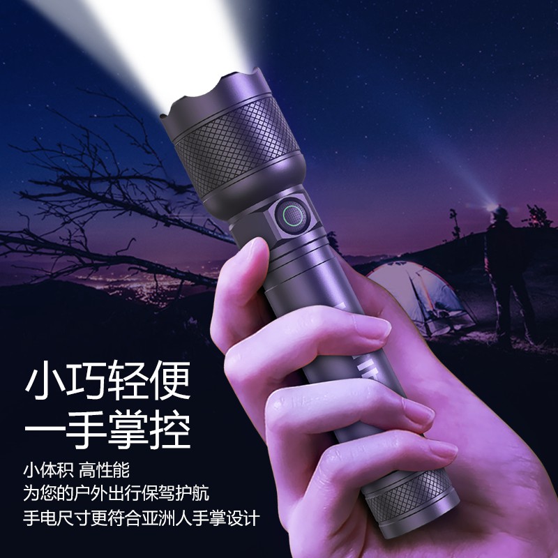 PHILIPS Outdoor Lightings Flashlight Hiking