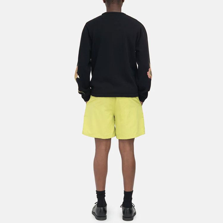 Мужские шорты Stussy Stock Water Short (разноцветные) — фото 5