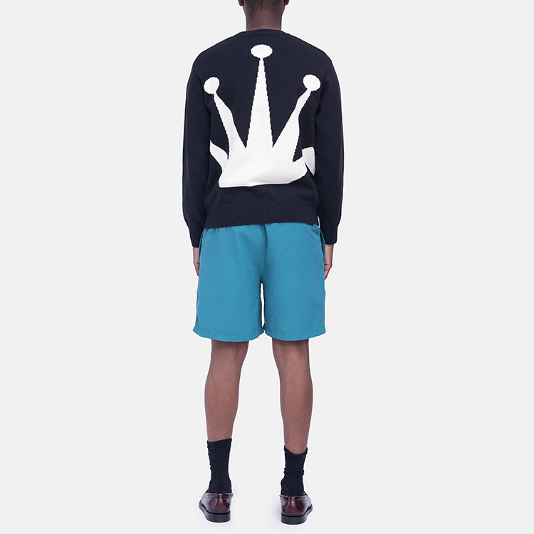 Мужские шорты Stussy Stock Water Short (разноцветные) — фото 22