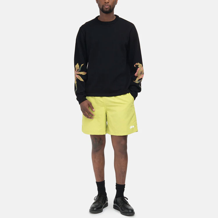 Мужские шорты Stussy Stock Water Short (разноцветные) — фото 3