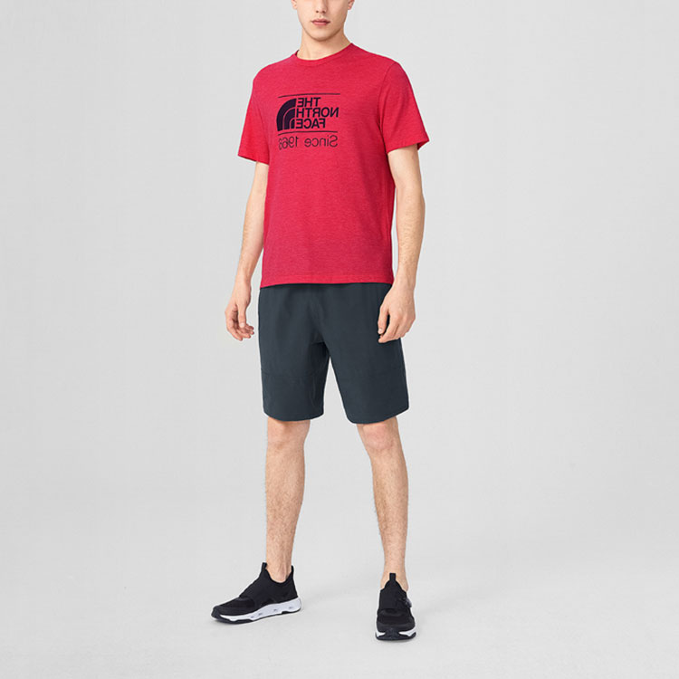 Мужские шорты The North Face (серые) — фото 4