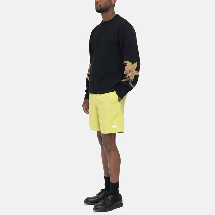 Мужские шорты Stussy Stock Water Short (разноцветные) — фото 4