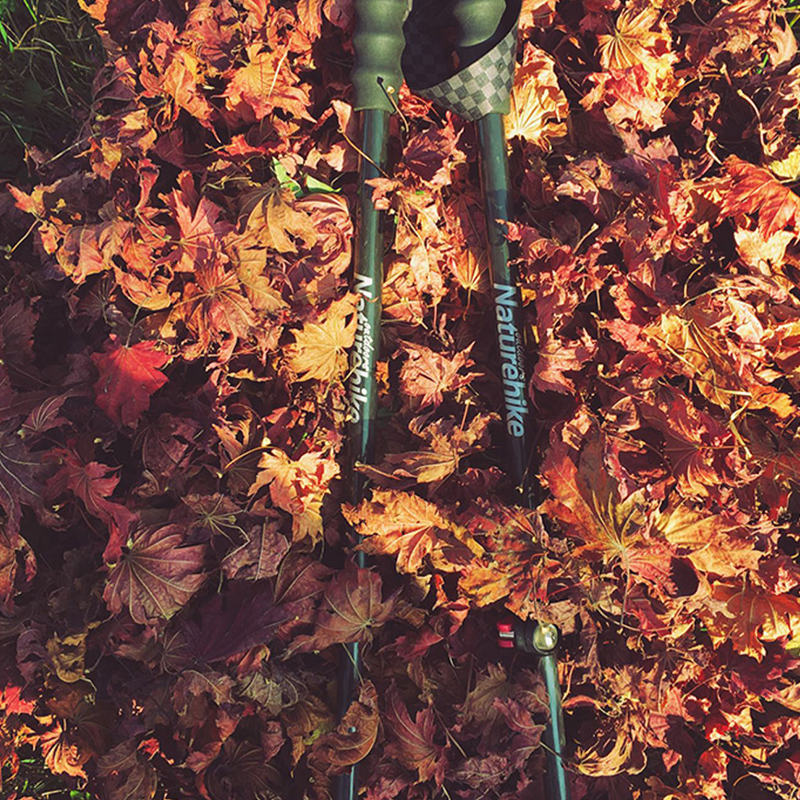 NATUREHIKE Hiking Poles & Walking Sticks Unisex
