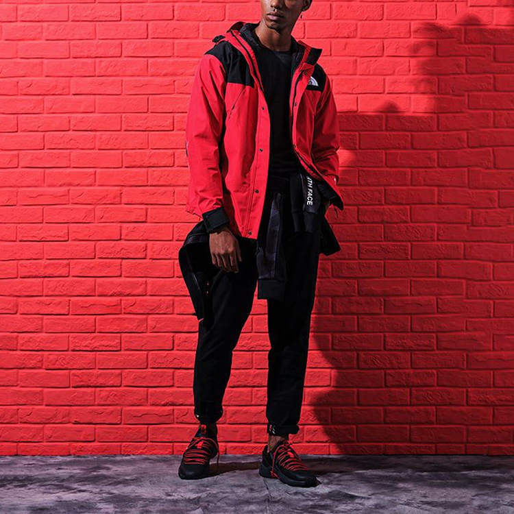 THE NORTH FACE 1990 Mountain Jacket Gore-Tex    