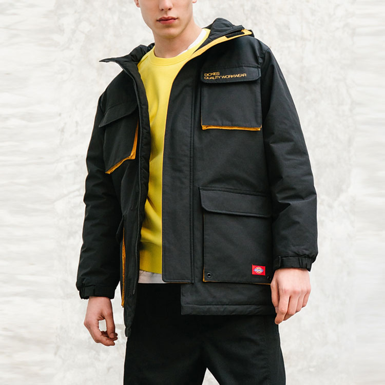 Мужской пуховик Dickies (разноцветный) — фото 4