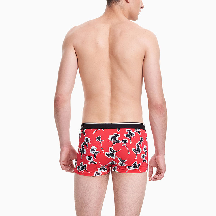 CK/Calvin Klein