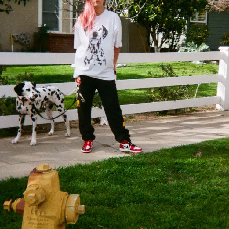 Photo 20259680