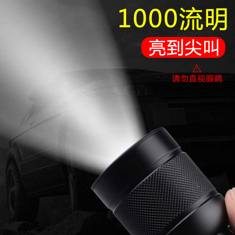 PHILIPS Outdoor Lightings Flashlight Camping