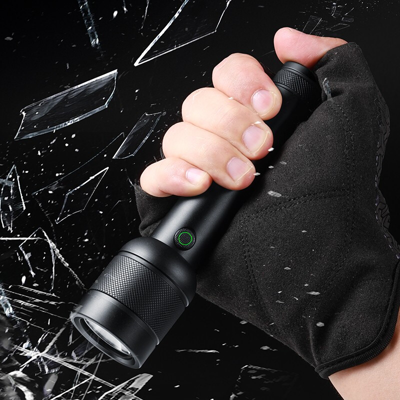 PHILIPS Outdoor Lightings Flashlight Camping
