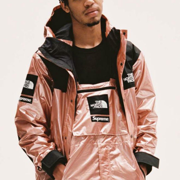 Supreme TNF TNF Metallic Parka    