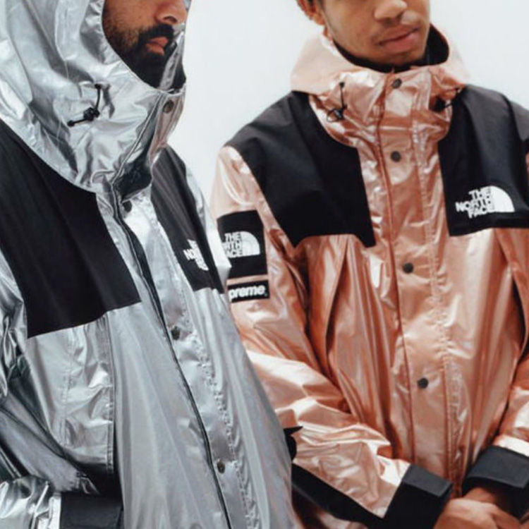 Supreme TNF TNF Metallic Parka    