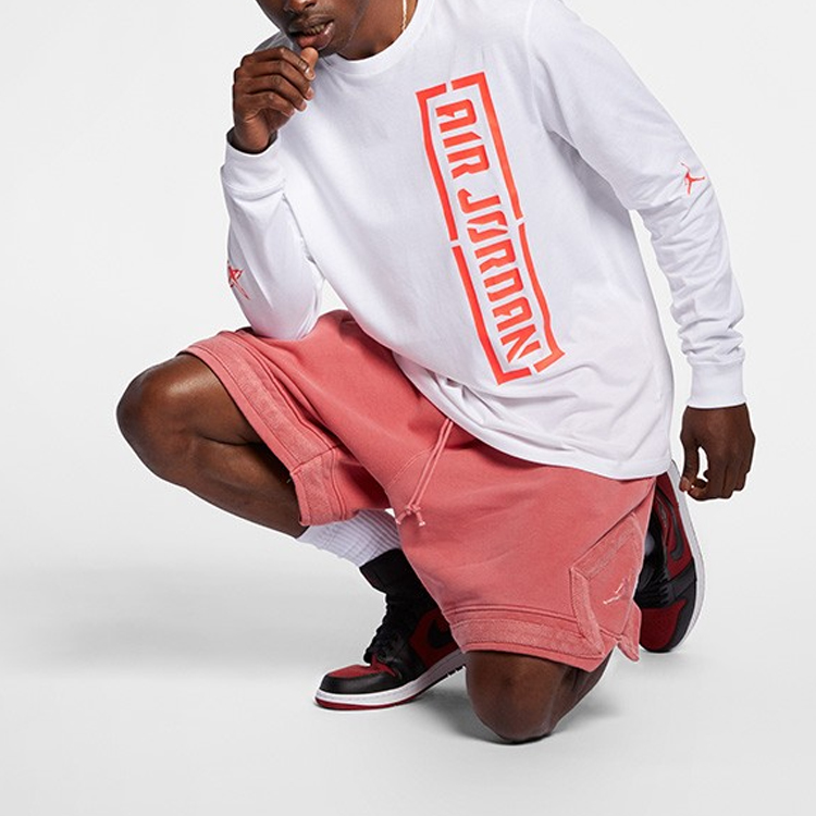 Мужская футболка Jordan LOGO T (белая) — фото 6