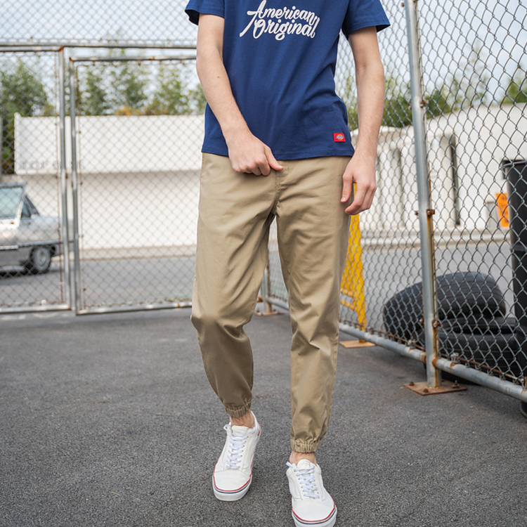 Мужские штаны Dickies (каки) — фото 2