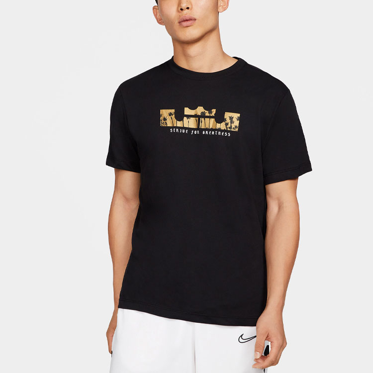 Мужская футболка Nike Dri-fit Lebron (черная) — фото 5