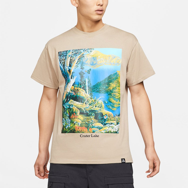Мужская футболка Nike ACG Crater Lake T (хаки) — фото 4