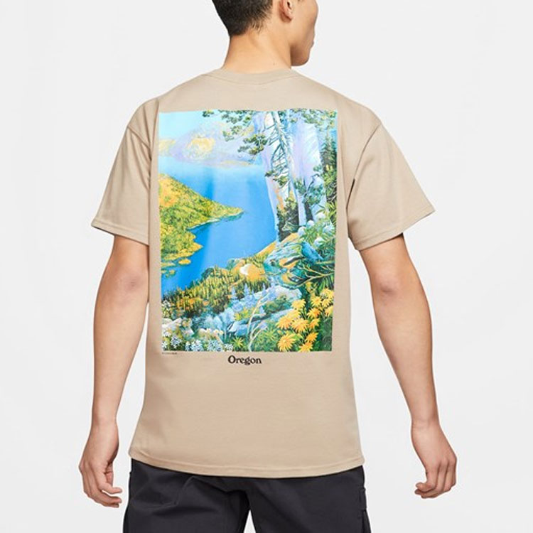 Мужская футболка Nike ACG Crater Lake T (хаки) — фото 5