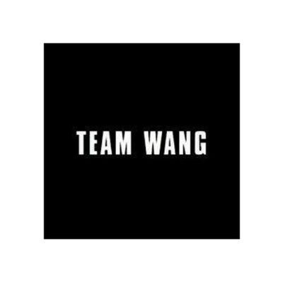 Team Wang Design