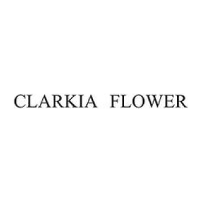 Clarkia Flower