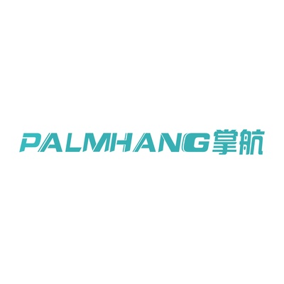 Palmhang