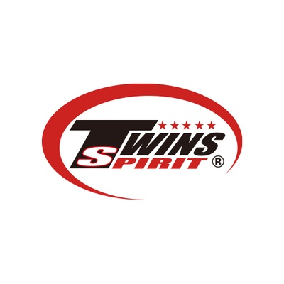 twins spirit