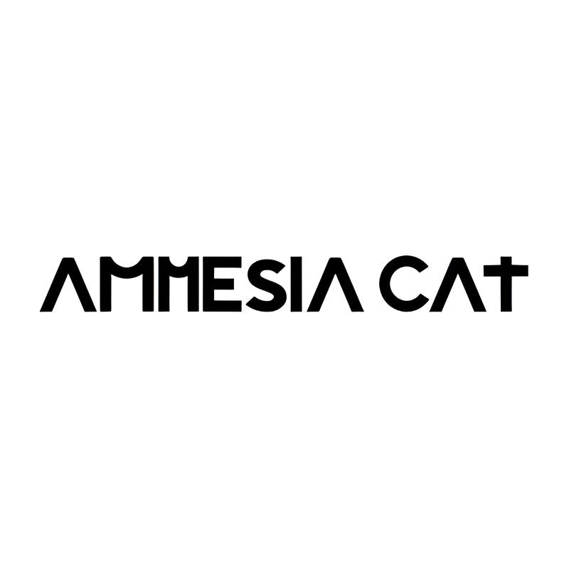 Amnesia Cat