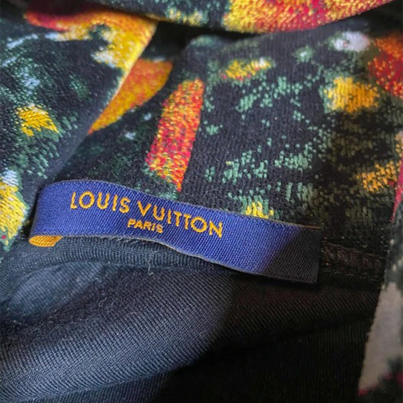Мужское худи Louis Vuitton (разноцветное) — фото 5