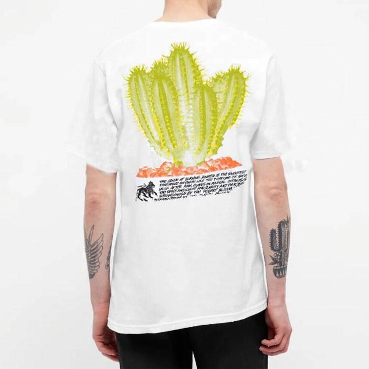 Футболка Stussy Desert Bloom Tee (разноцветная) — фото 12