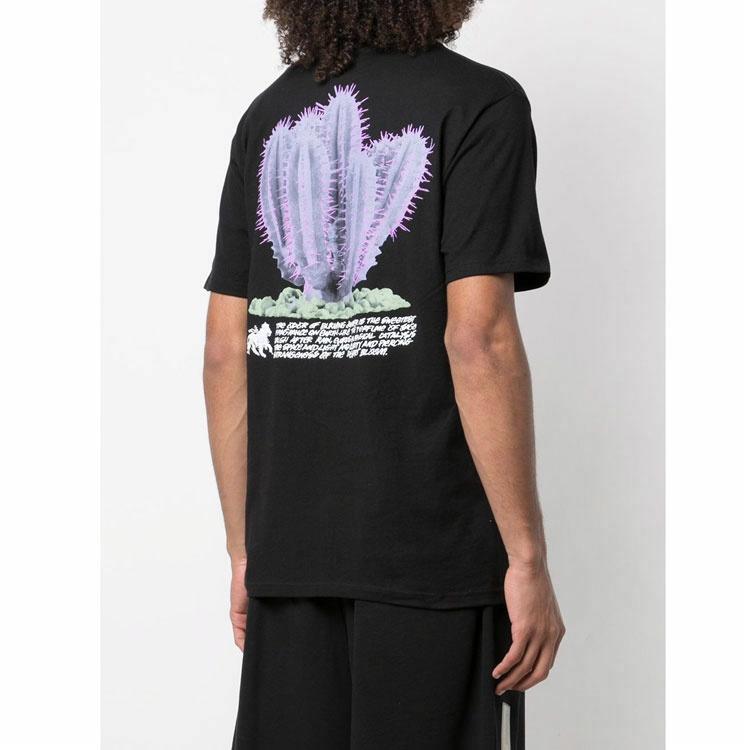 Футболка Stussy Desert Bloom Tee (разноцветная) — фото 7