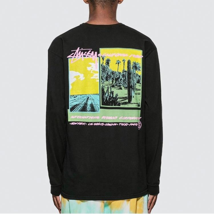 Футболка Stussy Palm Desert Tee T (разноцветный) — фото 3