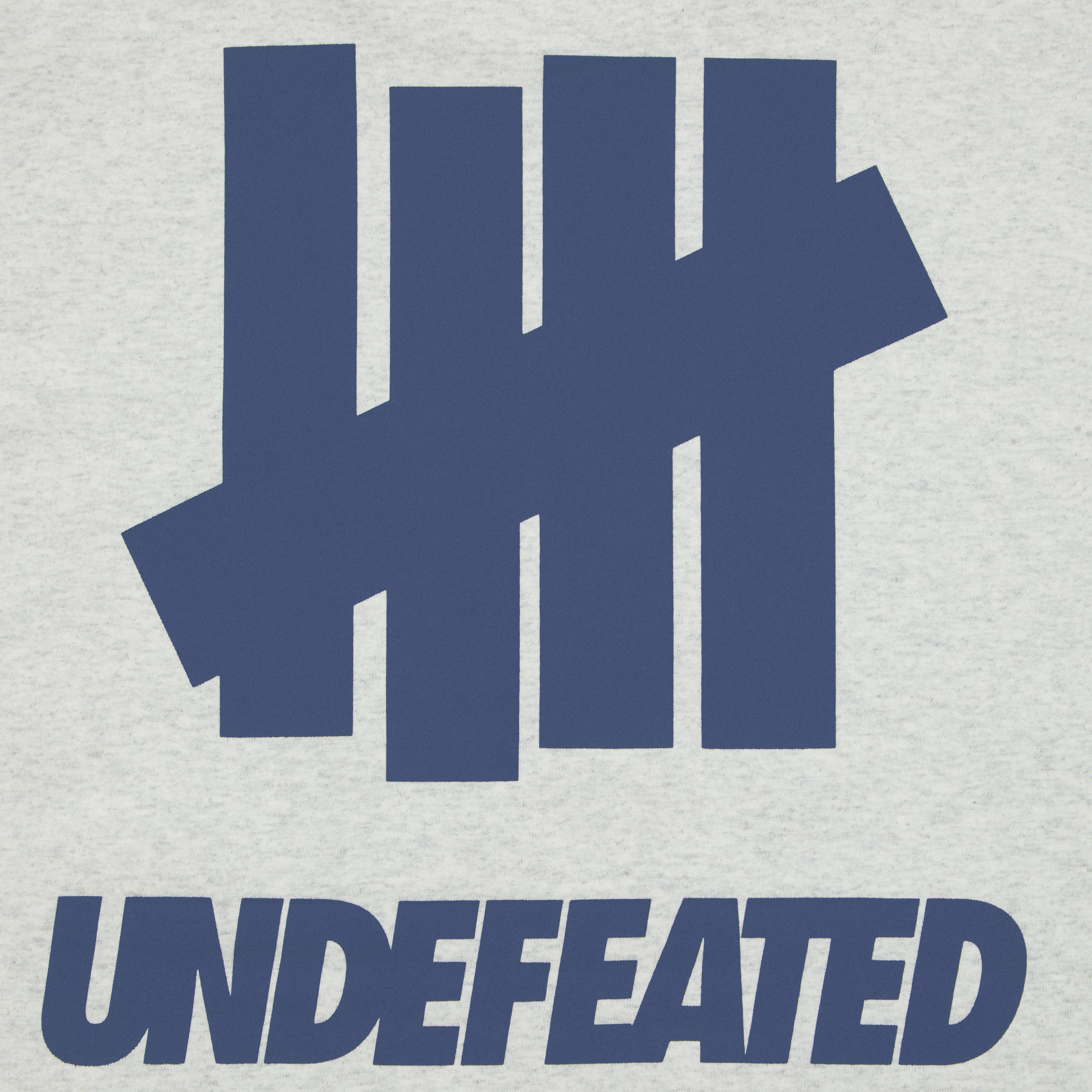 Футболка UNDEFEATED (черная) — фото 17