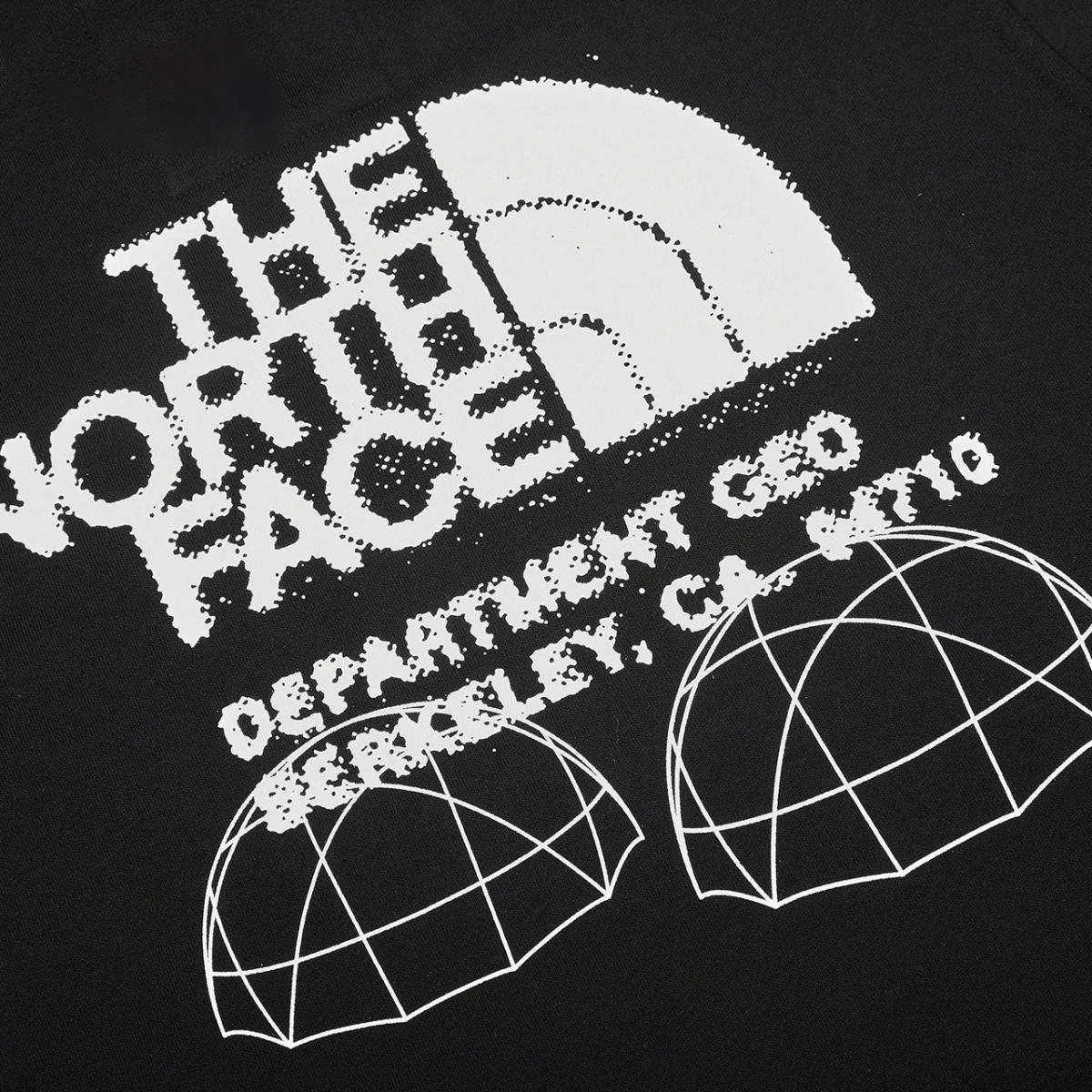 Худи The North Face THE NORTH FACE UE logo (черная) — фото 3